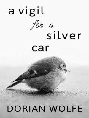 cover image of A Vigil for a Silver Car
